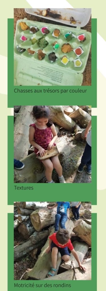 forest school