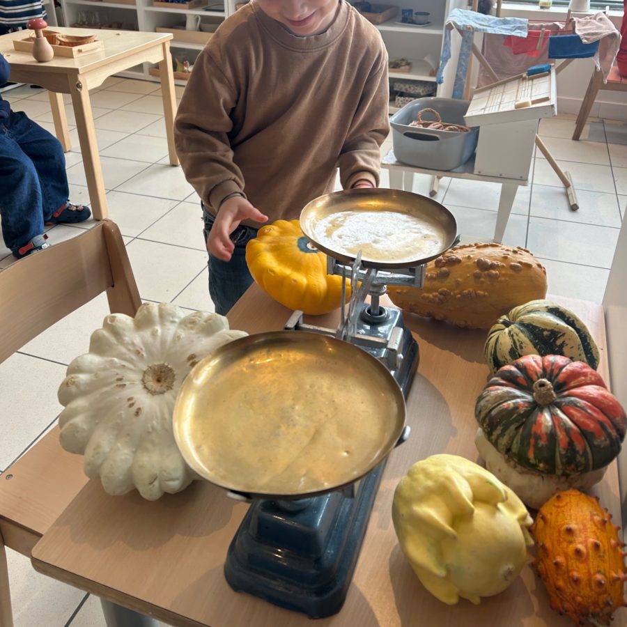 Alimentation et cerveau montessori we love momes versailles