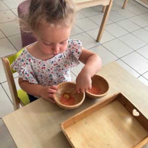 ecole montessori versailles maternelle transvaser